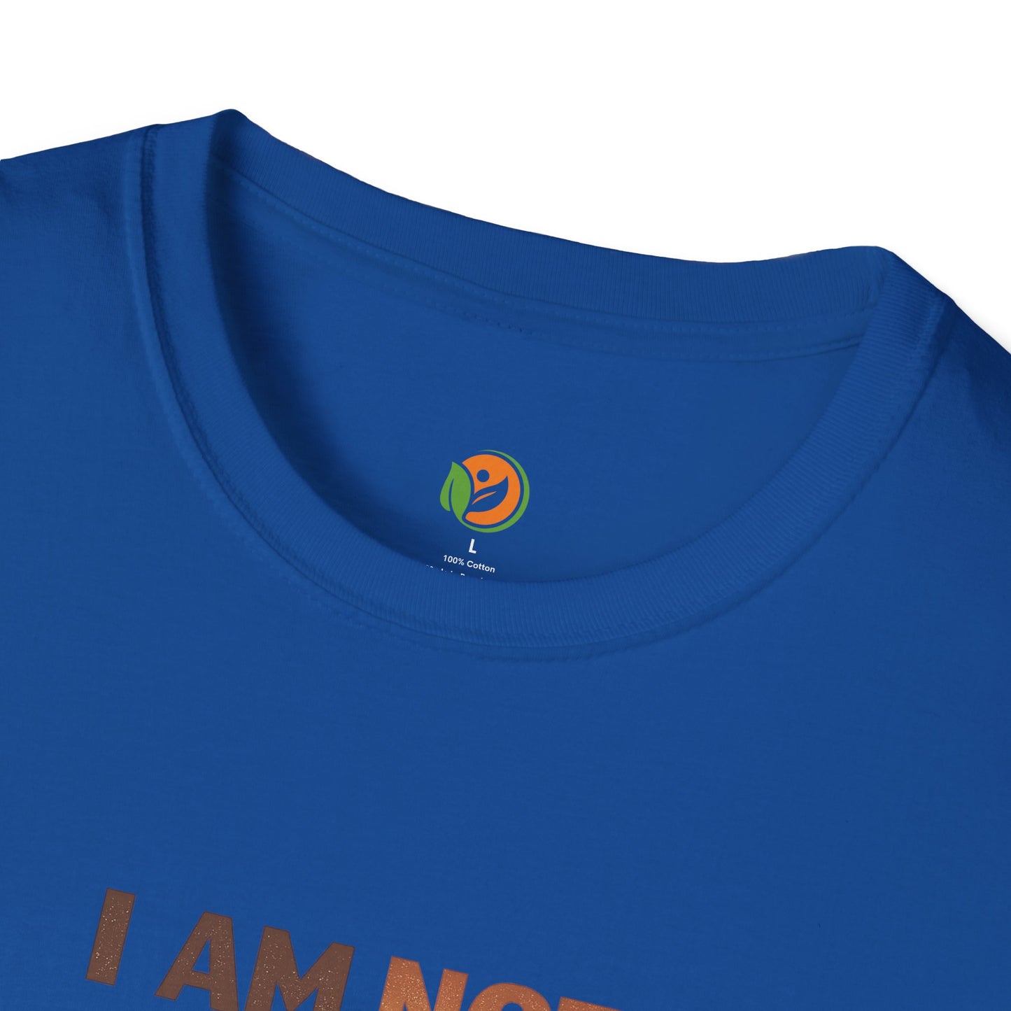 I Am Not My GPA T-Shirt – Inspirational Student Mental Health Tee