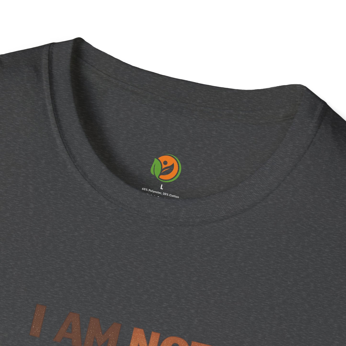 I Am Not My GPA T-Shirt – Inspirational Student Mental Health Tee